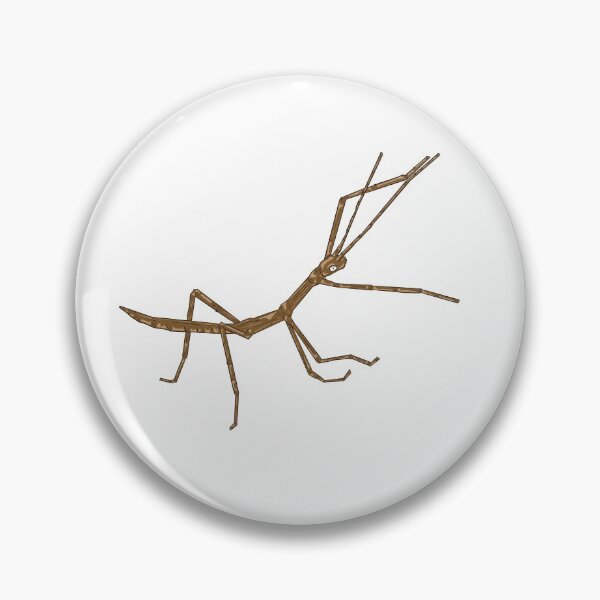 Item preview, Stick Bug designed and sold by missmann.