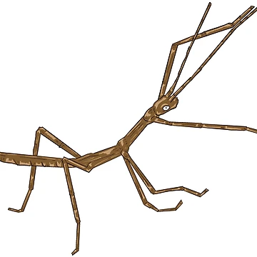 Artwork thumbnail, Stick Bug by missmann