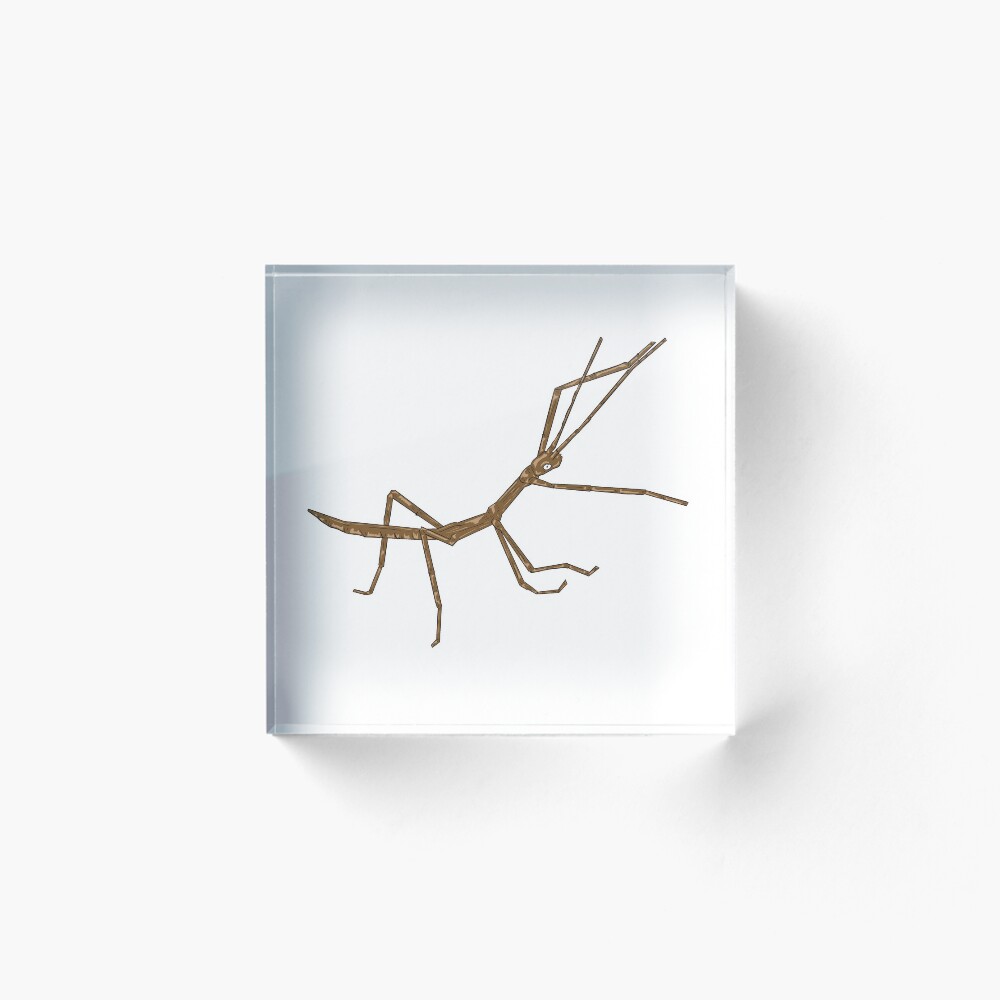 Item preview, Acrylic Block designed and sold by missmann.