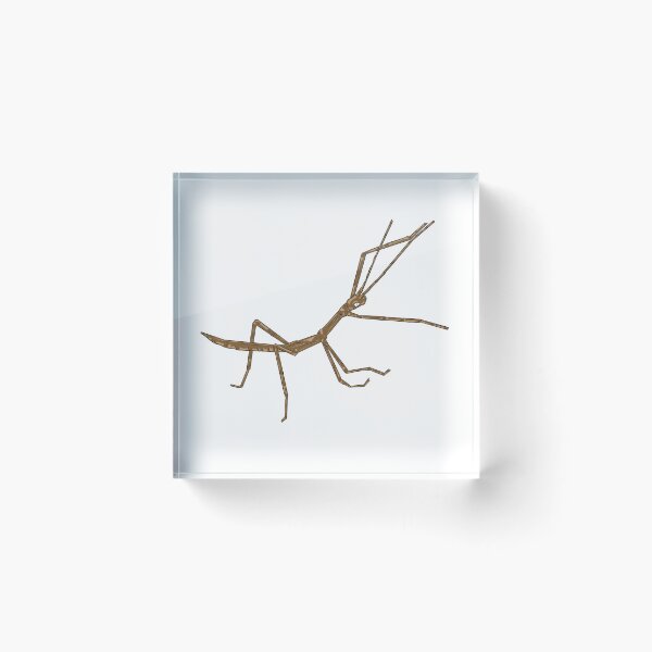 Item preview, Stick Bug designed and sold by missmann.