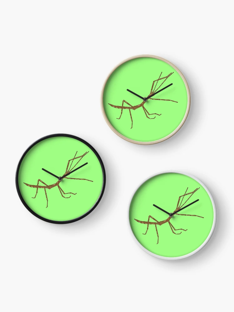 Thumbnail 3 of 4, Clock, Stick Bug designed and sold by missmann.