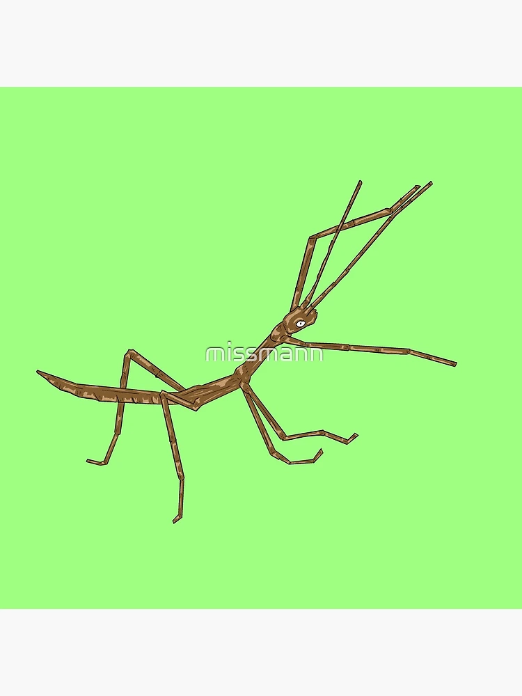 Thumbnail 4 of 4, Clock, Stick Bug designed and sold by missmann.