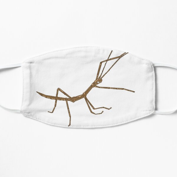 Stick Bug Face Masks Redbubble - roblox song id stick bug