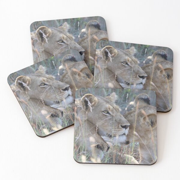 Item preview, Lion (Panthera leo) designed and sold by Wouter van Spijker.