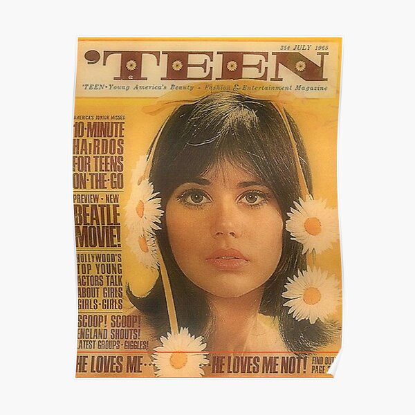 VINTAGE TEEN MAGAZINE Poster