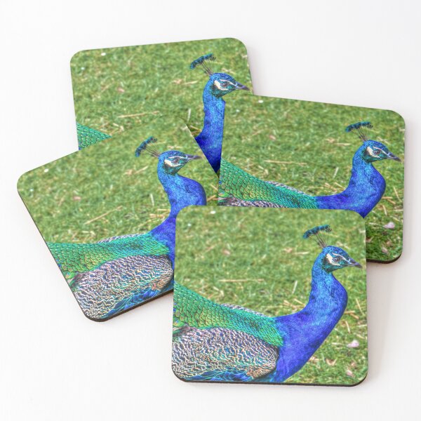 Item preview, Pavo real relajante designed and sold by Steven Jodoin.