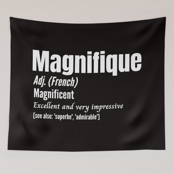 Item preview, French Funny Magnifique Magnificent Dictionary Definition designed and sold by Time4German.
