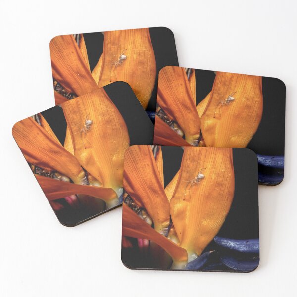 Item preview, Animal and plant designed and sold by David Beards.