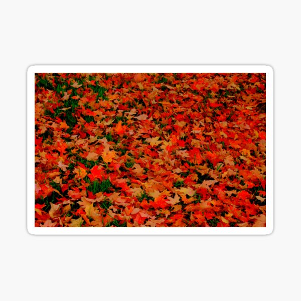 FALL FELL Sticker