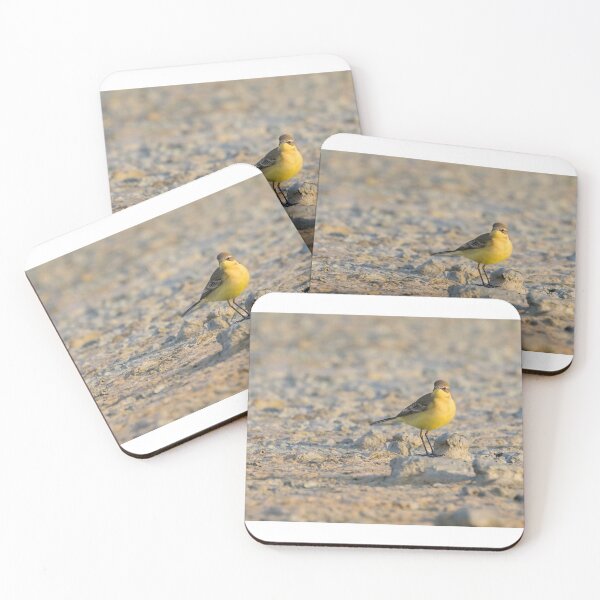 Item preview, Yellow Wagtail designed and sold by LaurenTucker.