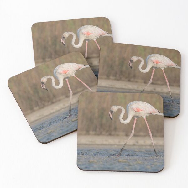 Item preview, Greater Flamingo designed and sold by LaurenTucker.
