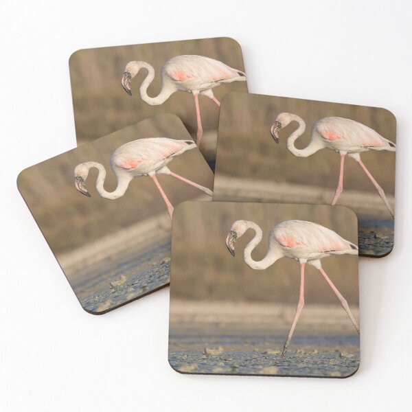 Item preview, Greater Flamingo designed and sold by LaurenTucker.