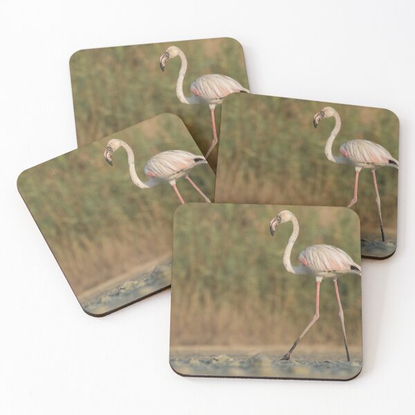 Item preview, Greater Flamingo designed and sold by LaurenTucker.