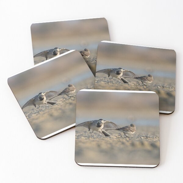 Item preview, Wagtail Dance designed and sold by LaurenTucker.
