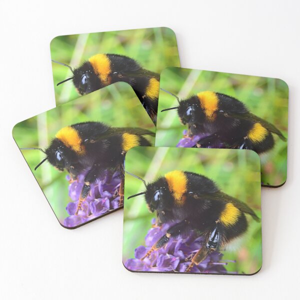 Item preview, Bumblebee  designed and sold by Rachelidoless.