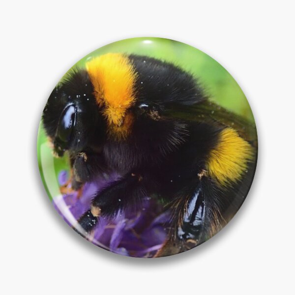 Item preview, Bumblebee  designed and sold by Rachelidoless.