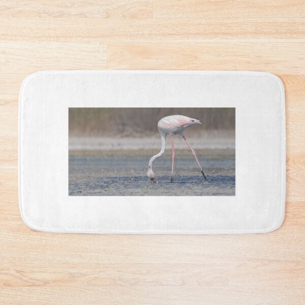 Item preview, Greater Flamingo designed and sold by LaurenTucker.