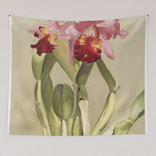 Item preview, Reichenbachia: Orchids Illustrated and Described designed and sold by EsotericBotanic.