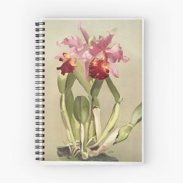 Item preview, Reichenbachia: Orchids Illustrated and Described designed and sold by EsotericBotanic.
