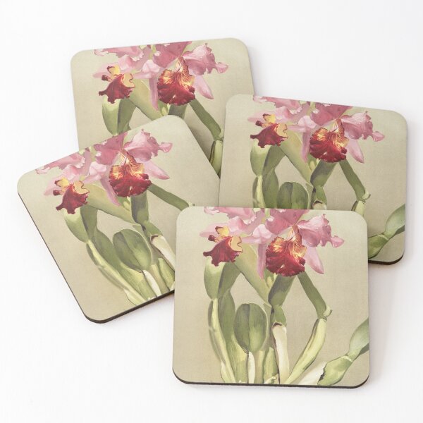 Item preview, Reichenbachia: Orchids Illustrated and Described designed and sold by EsotericBotanic.
