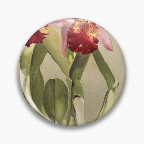 Item preview, Reichenbachia: Orchids Illustrated and Described designed and sold by EsotericBotanic.