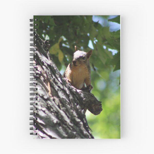 Artikelvorschau, Eichhörnchen in einem Baum entworfen und verkauft von Catherine Kerr.