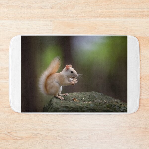 Item preview, Leucistic Red Squirrel designed and sold by James Cumming.