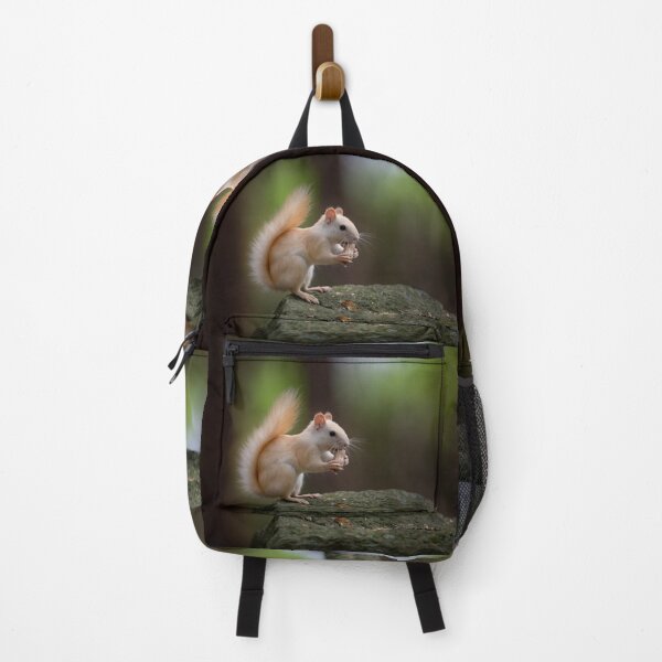 Item preview, Leucistic Red Squirrel designed and sold by James Cumming.