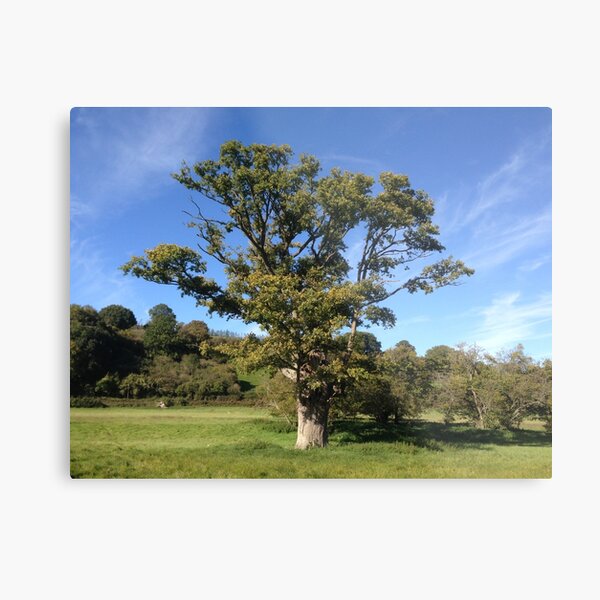Item preview, English Countryside Tree Blue Sky designed and sold by doodlerob.