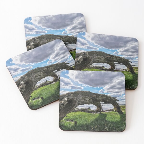 Item preview, Driftwood designed and sold by AmyHuntPhotos.