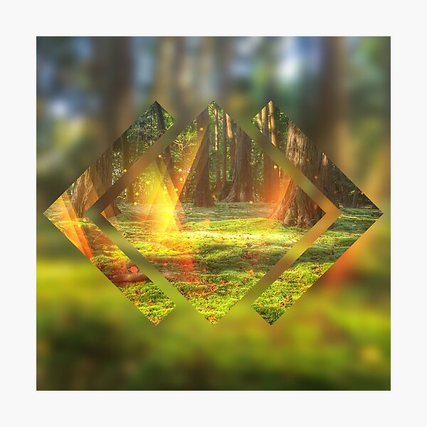 Take Me to the Magic Forest Abstract Geometric Photographic Print