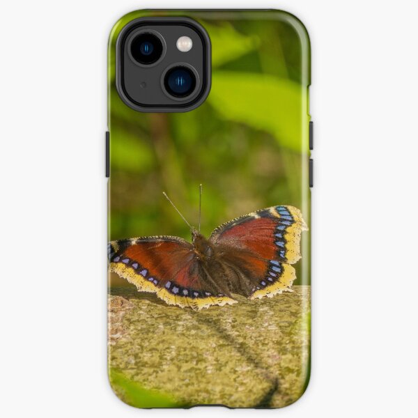 Butterfly in the forest: enchanting Mourning cloak iPhone Tough Case