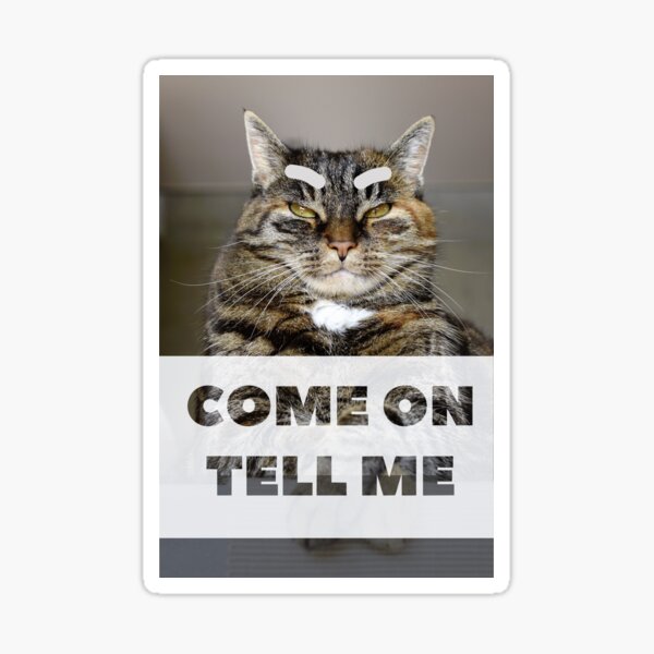 Grumpy cat memes "Come on Tell me" Sticker