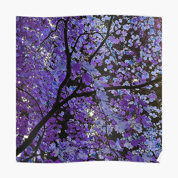 Purple Bliss Poster