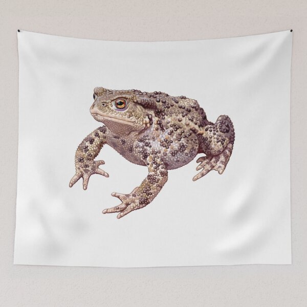 Item preview, Common Toad designed and sold by kokayart.