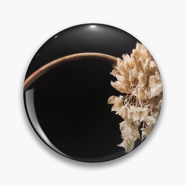 Item preview, Dried. designed and sold by Paul Pasco.