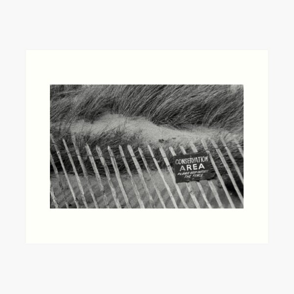 Item preview, Conservation designed and sold by Liesl Kustermann.