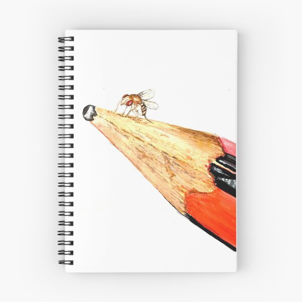 Item preview, Fruit fly on a pencil designed and sold by DaniEdmunds.