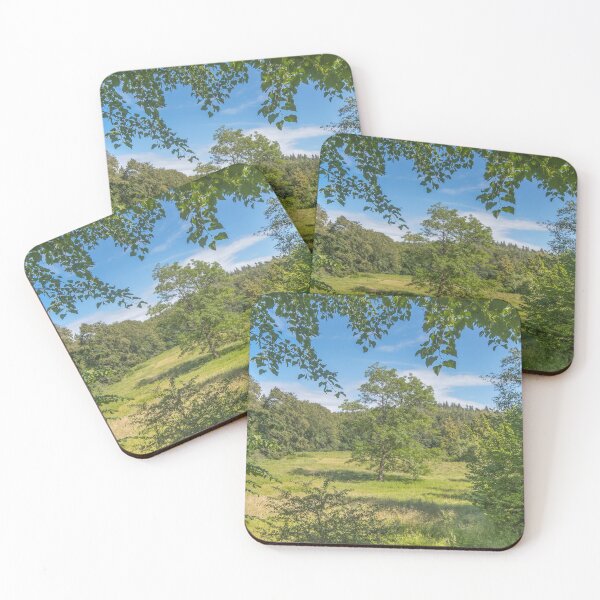 Idyllic clearing in the woods Coasters (Set of 4)