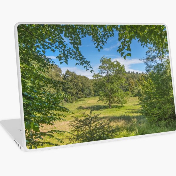 Idyllic clearing in the woods Laptop Skin