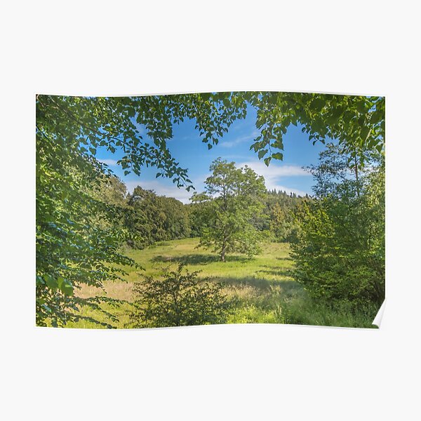 Idyllic clearing in the woods Poster
