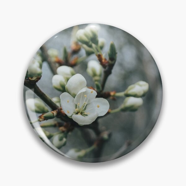 Item preview, Delicate white spring blossoms designed and sold by VieClaud.