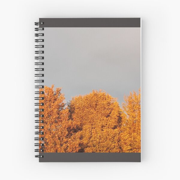 Item preview, Golden burnt orange trees under a stormy sky designed and sold by Emma  Amies.