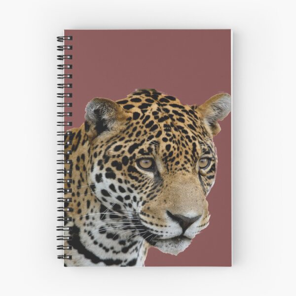 Item preview, Tiger - Save Nature -- Tigre - Salva la Naturaleza designed and sold by josesita.