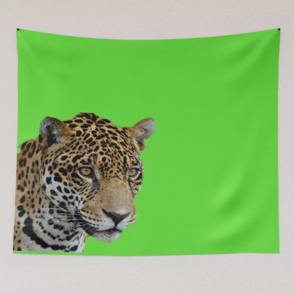 Item preview, Tiger - Save Nature -- Tigre - Salva la Naturaleza designed and sold by josesita.