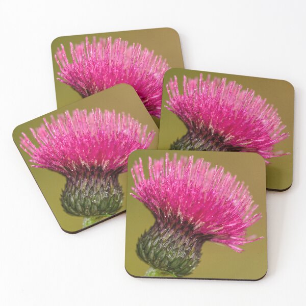 Item preview, Plume Thistle, Scottish Borders designed and sold by yourscotborders.