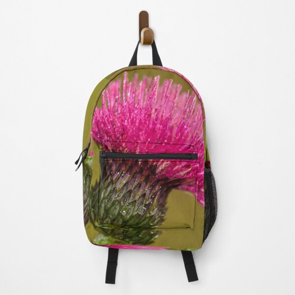 Item preview, Plume Thistle, Scottish Borders designed and sold by yourscotborders.