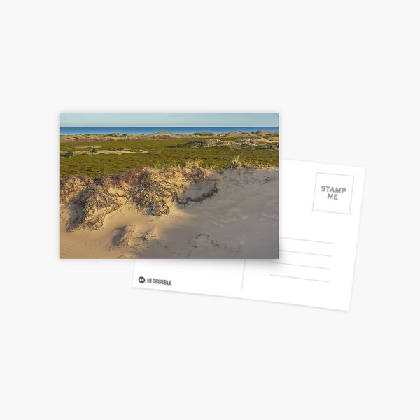 Dune. Island landscape Postcard