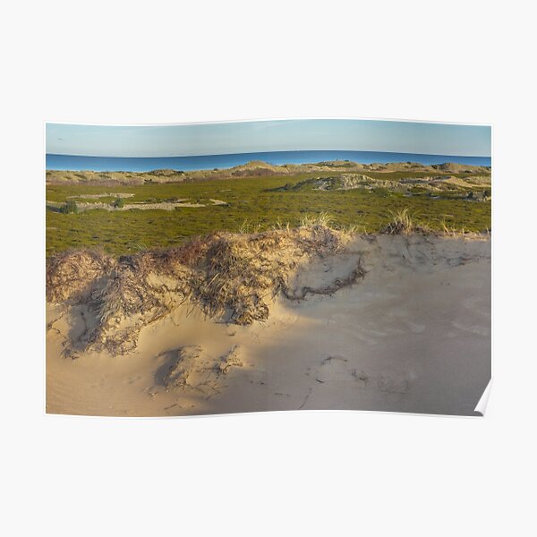 Dune. Island landscape Poster