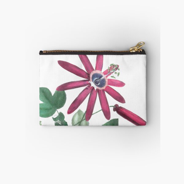 Item preview,  Vintage Passiflora kermesina print from The floral cabinet and magazine of exotic botany (1837) designed and sold by Douglas E. Welch Design and Photography.
